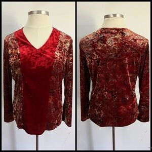 Y2K Venezia Velvet Boho Bell Sleeve Blouse